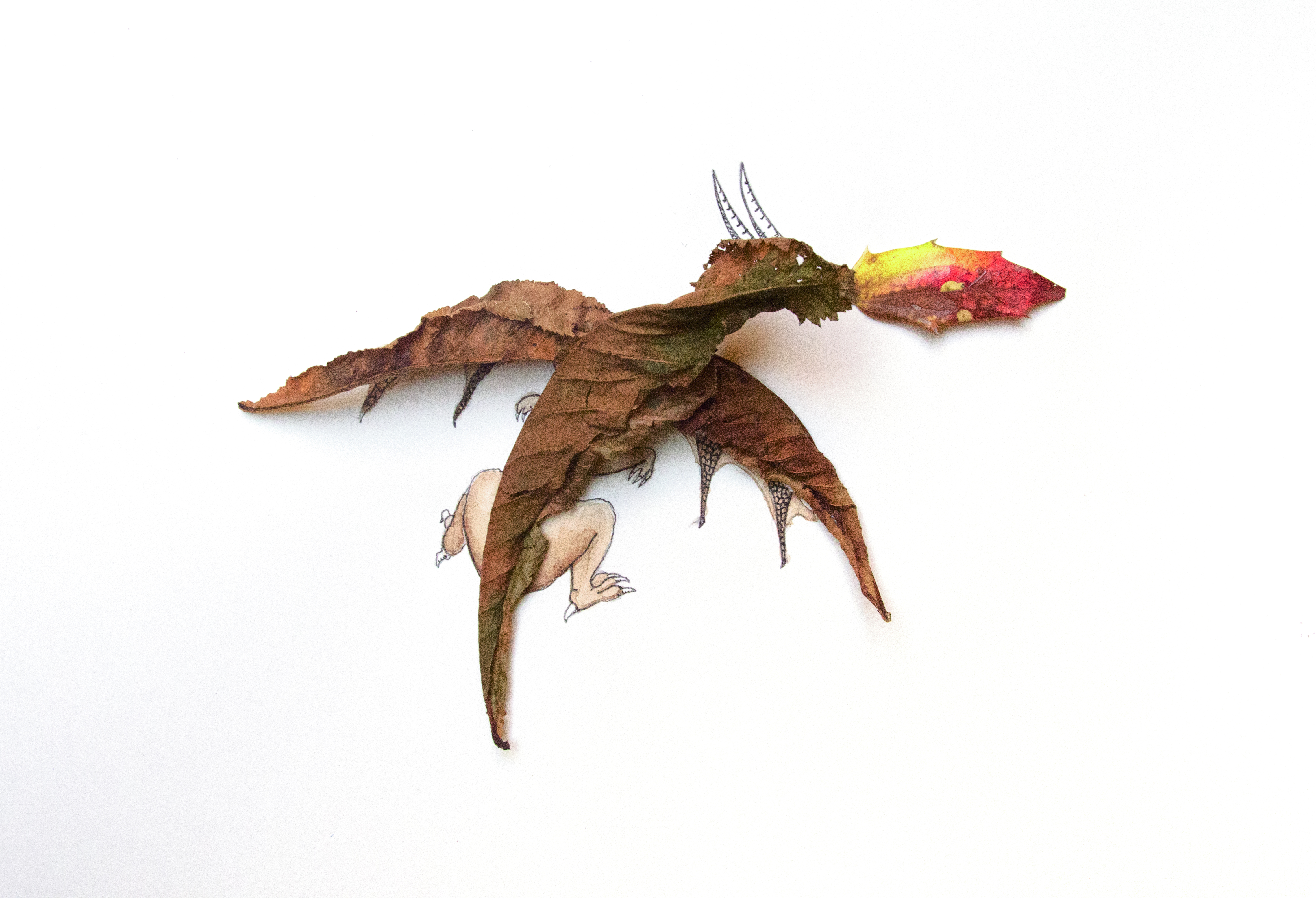 photo of a dragon made with dried leaves, ink and watercolor paint by Kelly Crull